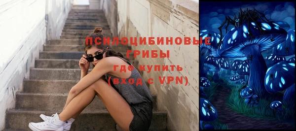 дмт Абаза
