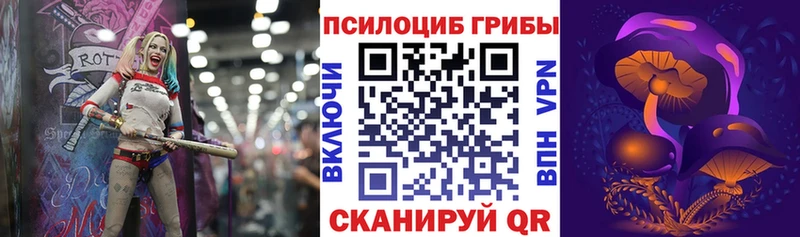 Галлюциногенные грибы Psilocybe Сычёвка